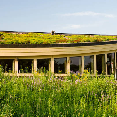 A Green Roof Design | Sustainable Roofing System AZ