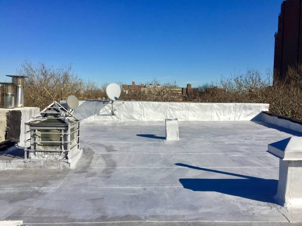 Flat Roofs: Are They Right for You?