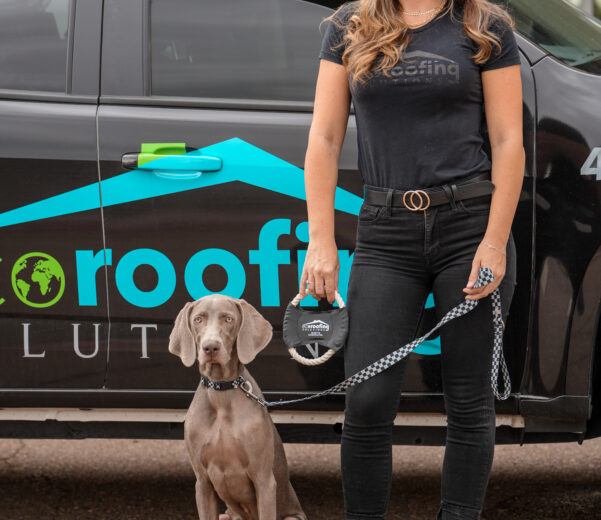 A woman in a black t-shirt and jeans standing next to a gray Weimaraner dog on a leash, with a black truck with a "Roofing Solutions" logo in the background.